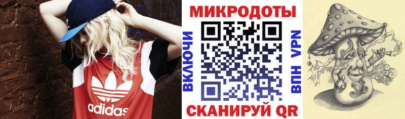 Галлюциногенные грибы MAGIC MUSHROOMS  купить наркотик  нарко площадка наркотические препараты  Сорск 