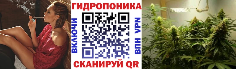 Шишки марихуана семена  где купить наркоту  Сорск 